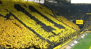 1716039800568074614.gif dor 2.gif